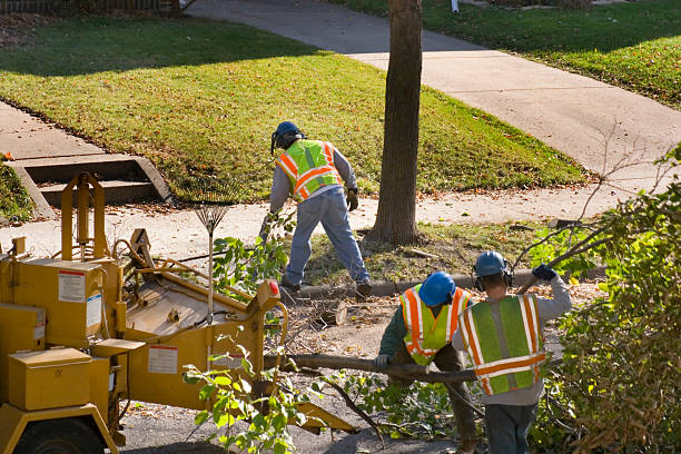 Soil Testing and Treatment in High Springs, FL